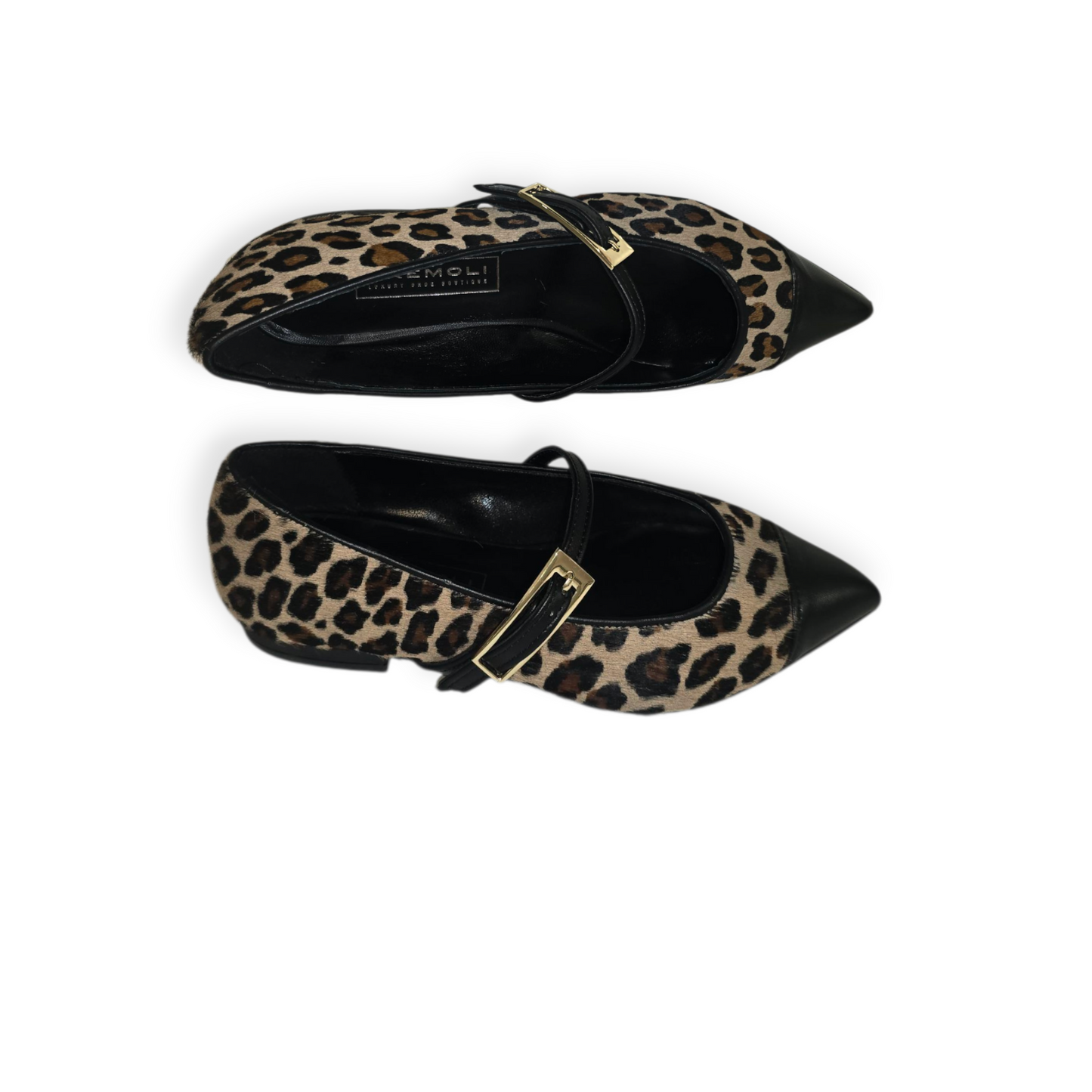 TED82910