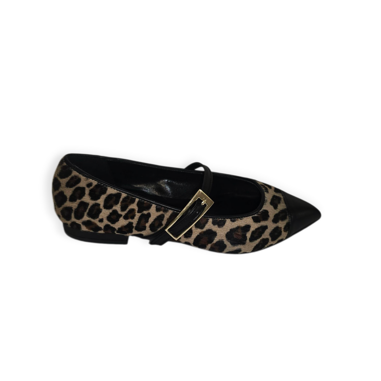 TED82910