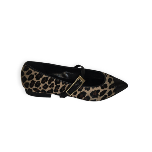 TED82910